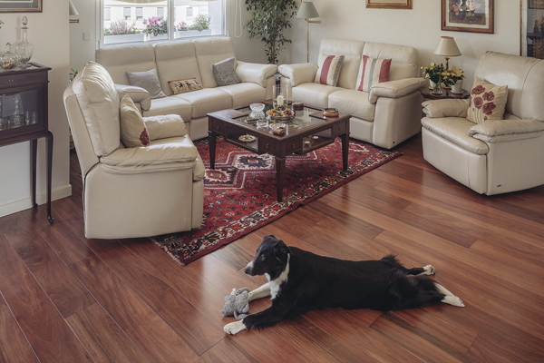 Vivienda duplex en calle Serrano, Madrid, para empresa Comercial Illescas