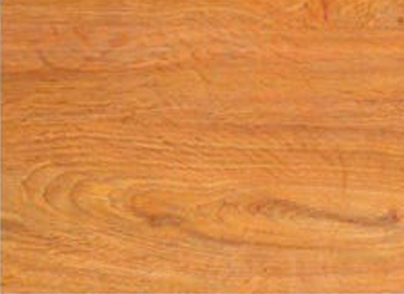 Especiales zonas húmedas