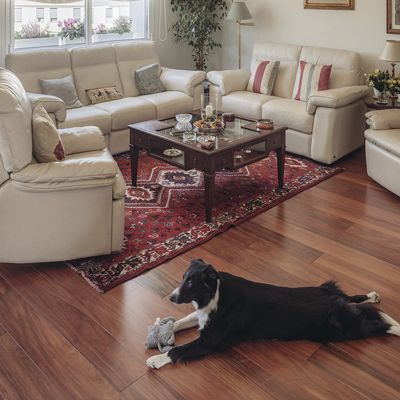 Vivienda duplex en calle Serrano, Madrid, para empresa Comercial Illescas